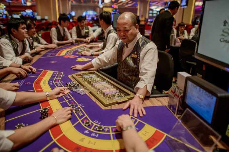 how to play indian rummy game icon